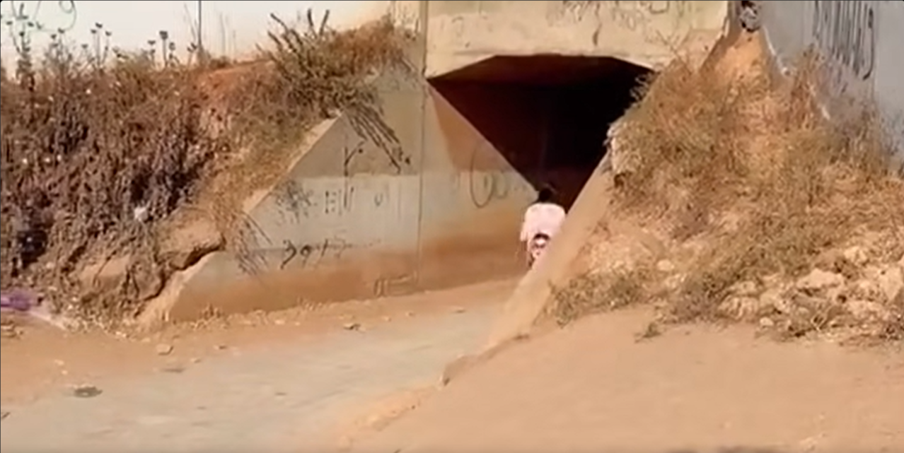 قنطرة النهضة